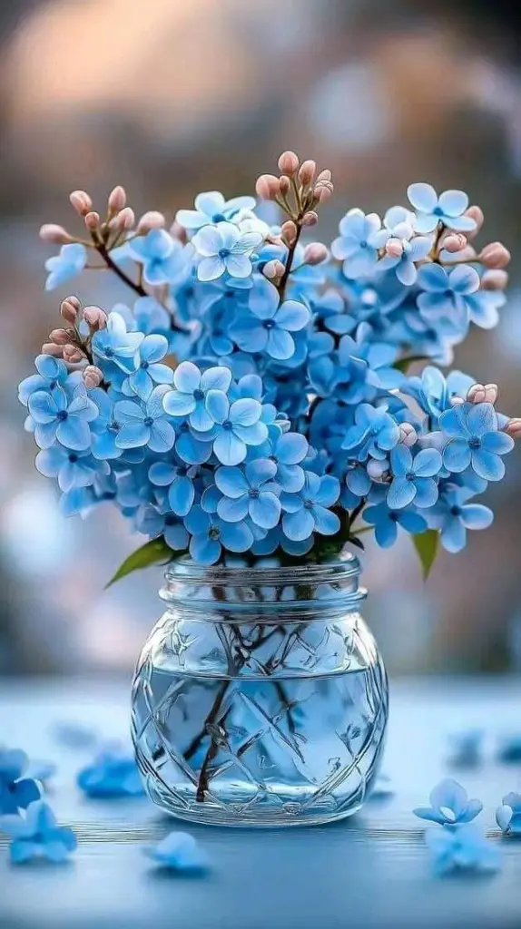 Condolence image of Martina mit Seelenhund Samy ♥️⭐♥️ für immer im Herzen 