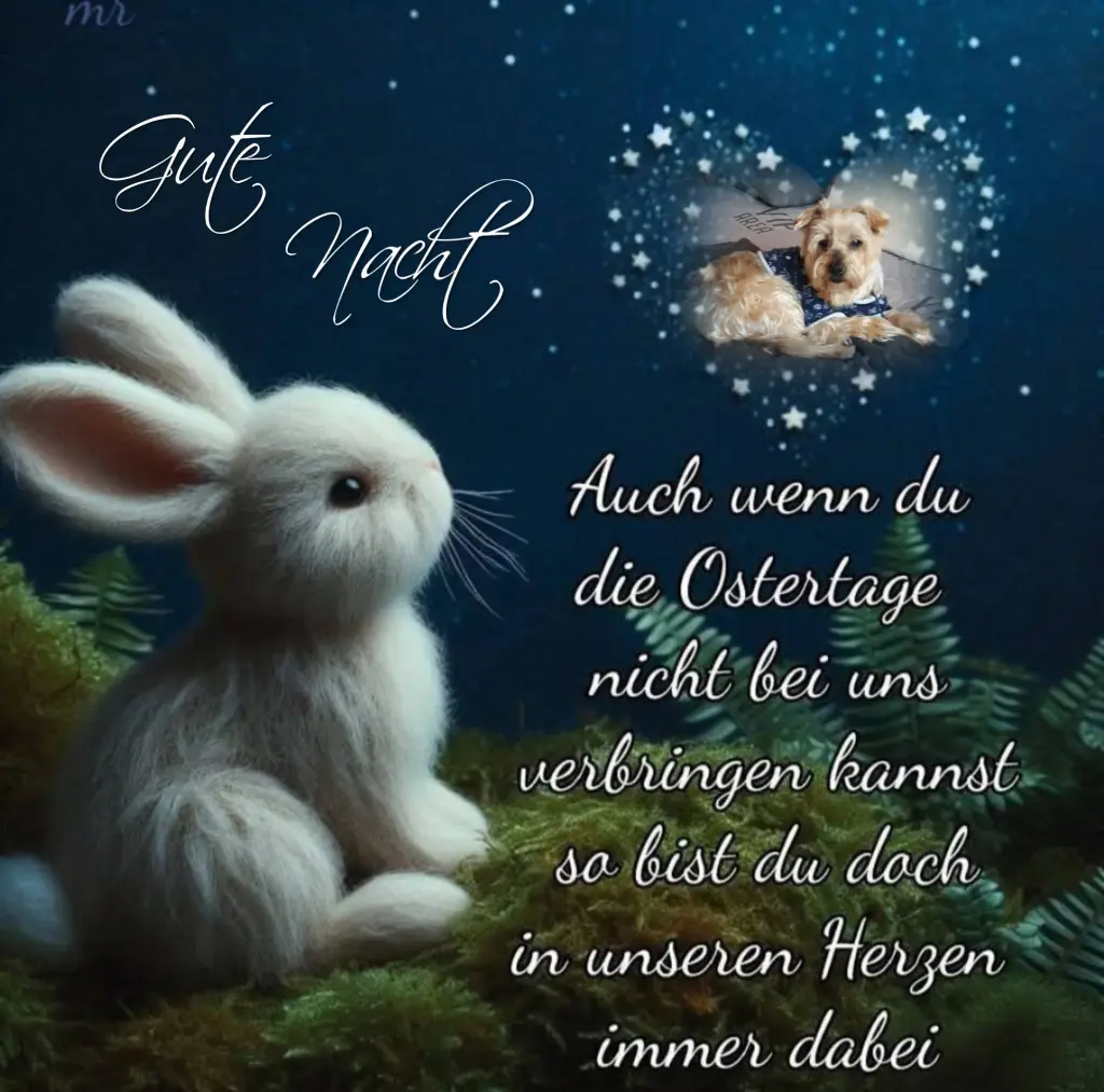 Condolence image of ⭐️Dobranoc nasz najdroższy Jackusiu♥️ 