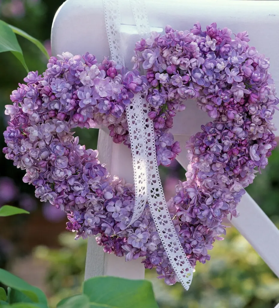 Condolence image of Wenke mit Lilli im❤️