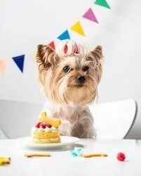 Condolence image of Angelika mit Luna ❤️