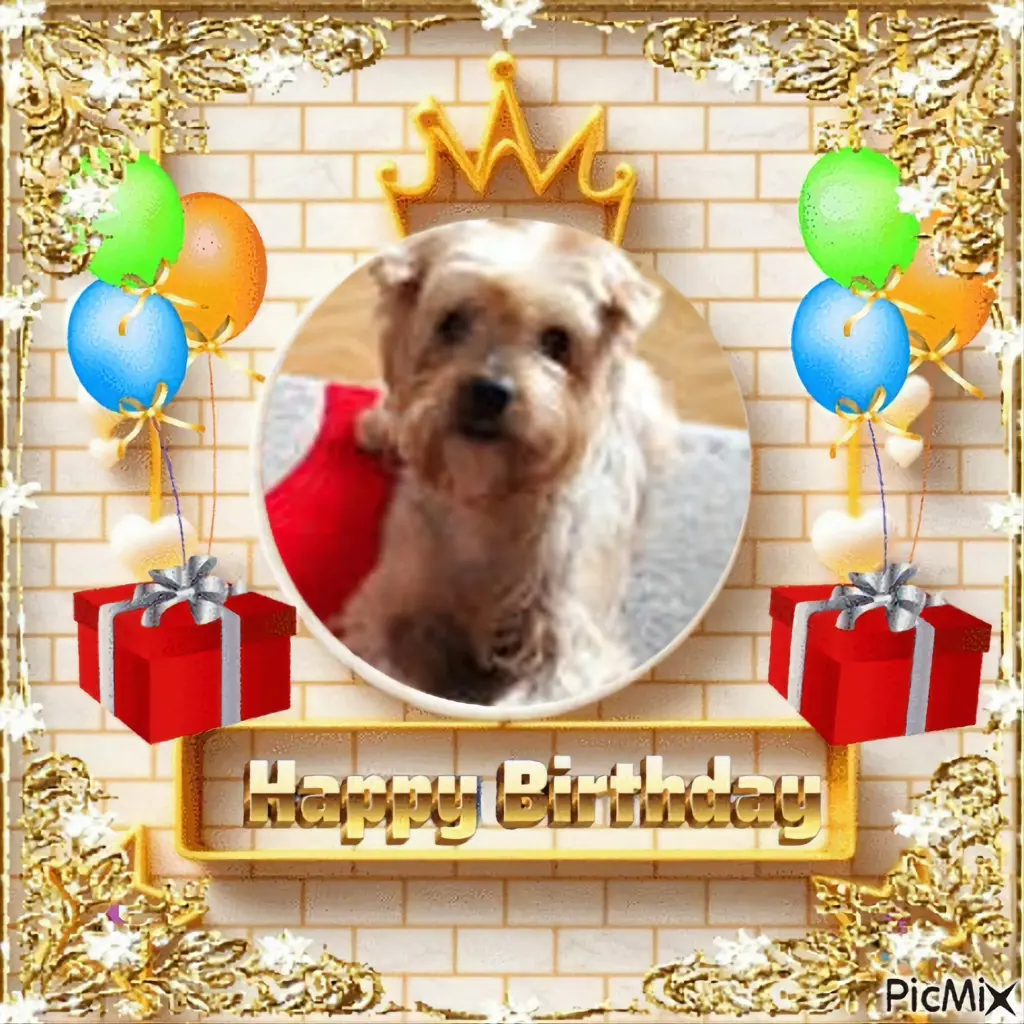 Condolence image of 17.Urodzinki❤️❤️❤️❤️❤️❤️❤️❤️❤️❤️❤️❤️❤️❤️❤️❤️❤️