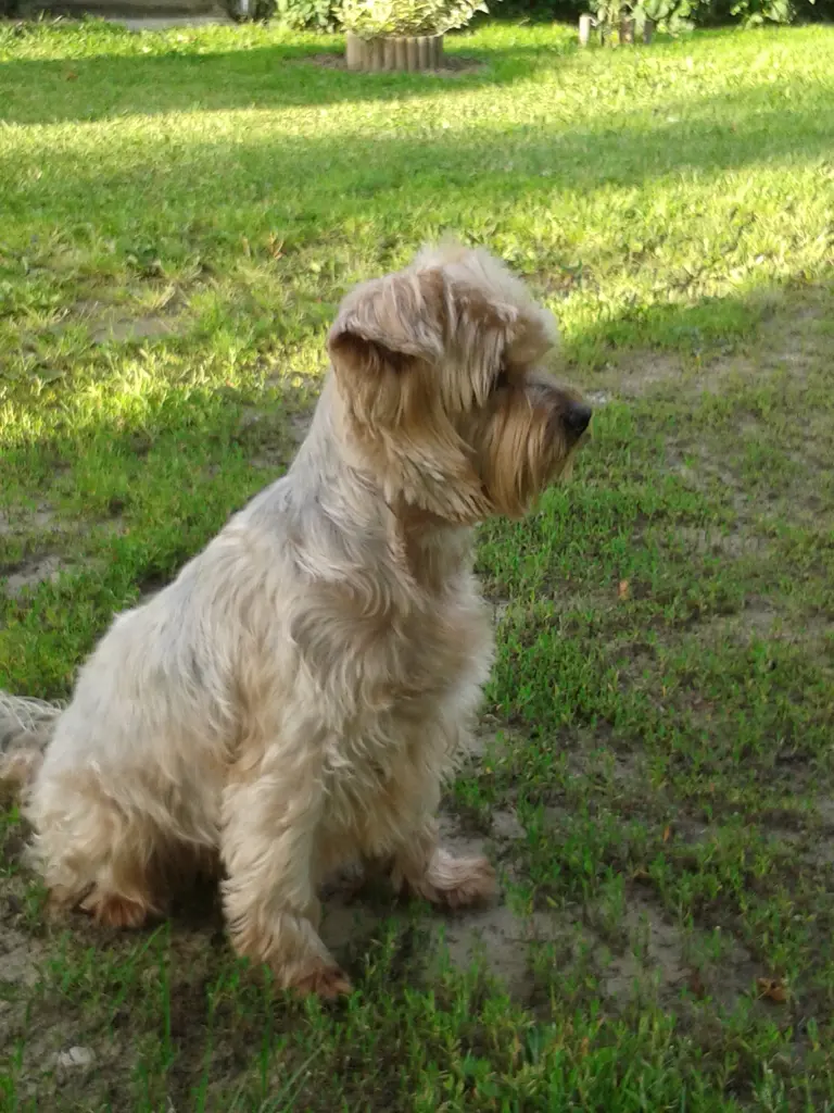 Condolence image of Krzysztof 