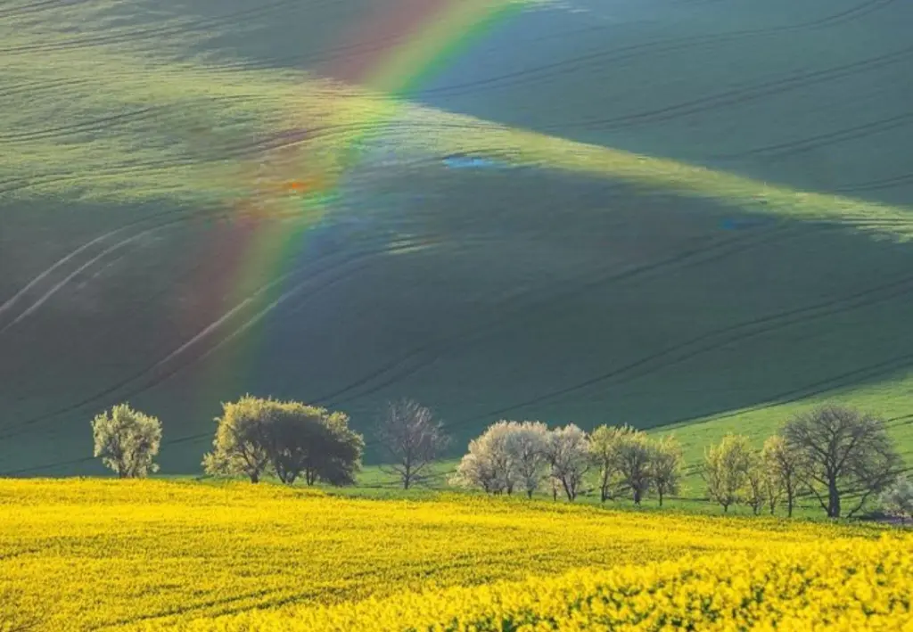 Condolence image of Ewa & Krzysztof 