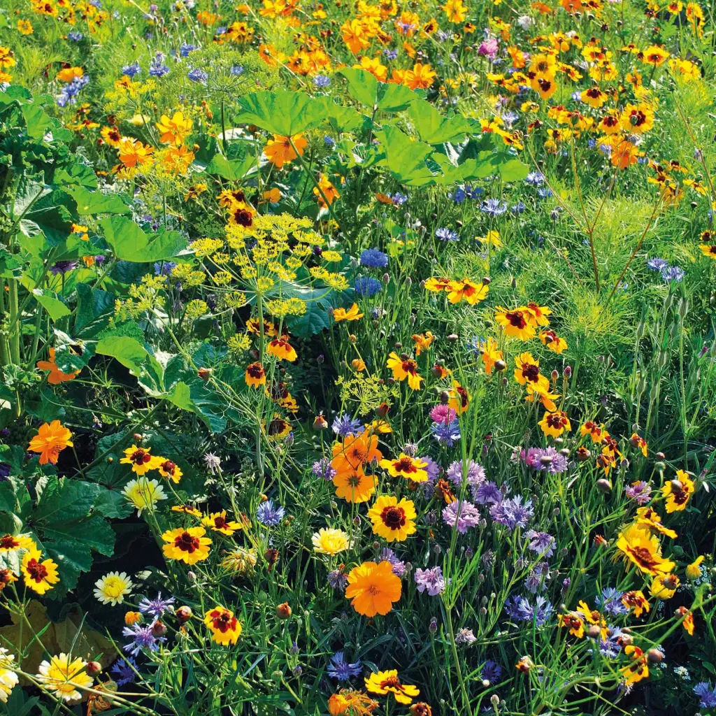 Condolence image of ♡Herzen ♡