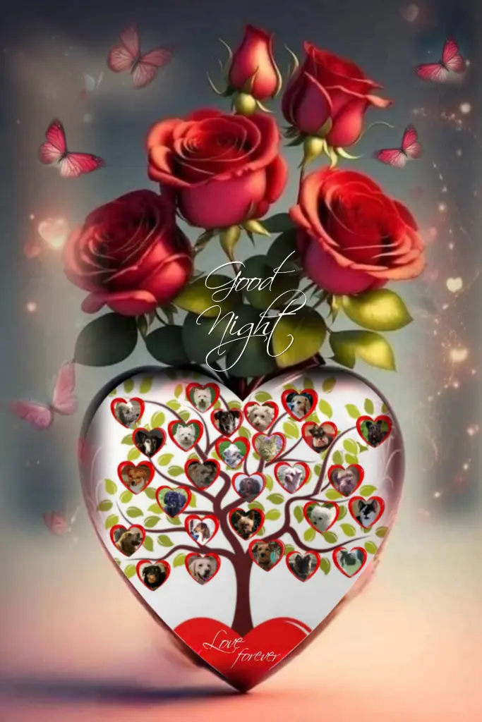 Condolence image of ⭐️Dobranoc nasz najdroższy Jackusiu♥️ 