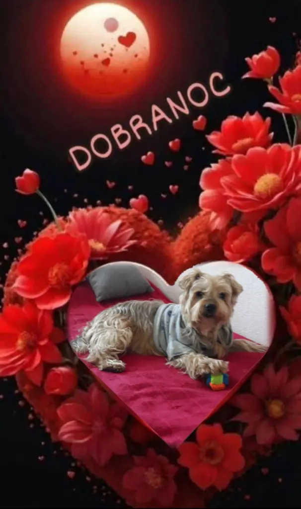 Condolence image of ⭐️Dobranoc nasz najdroższy Jackusiu♥️ 