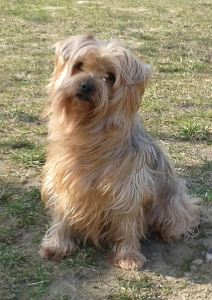 Condolence image of  Ewa & Krzysztof 