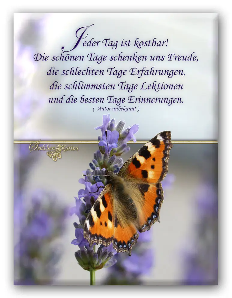 Condolence image of Paul mit "Seelenhund Spiky im Herzen"