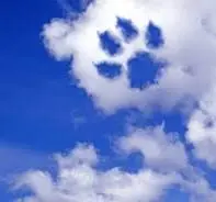 Condolence image of Angelika mit Luna ❤️