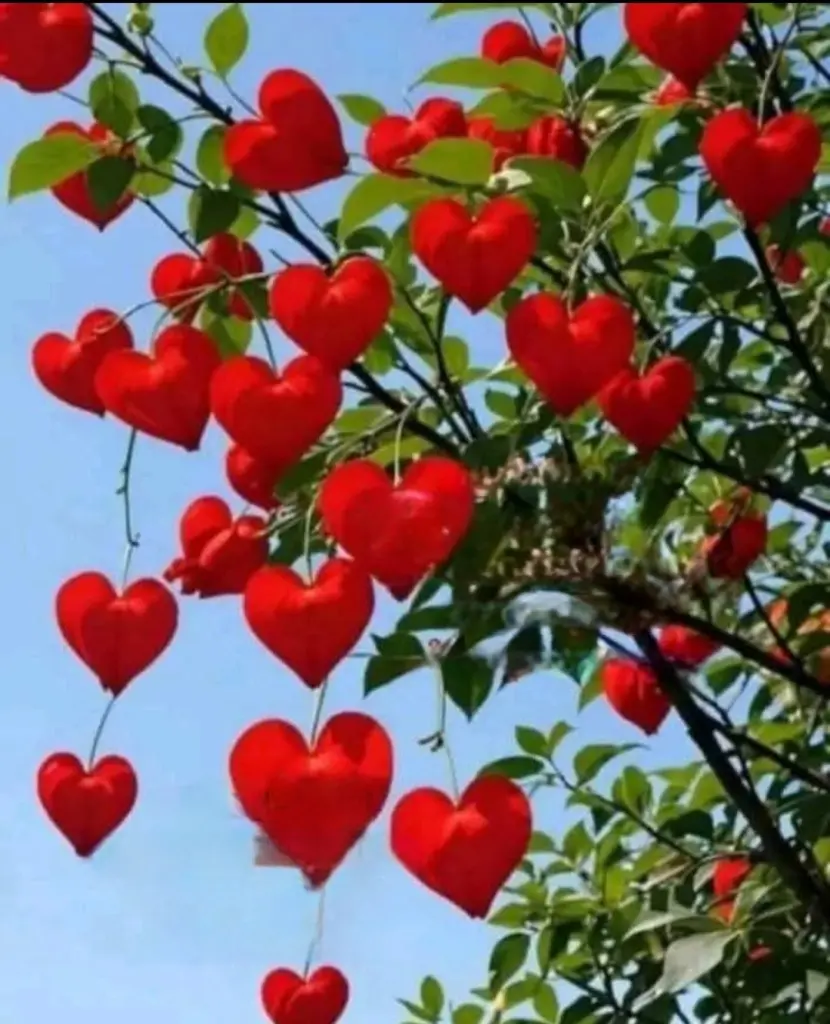 Condolence image of Ewa & Krzysztof 