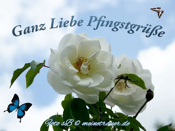 Condolence image of Manuela mit Fiby im Herzen ❤️ 