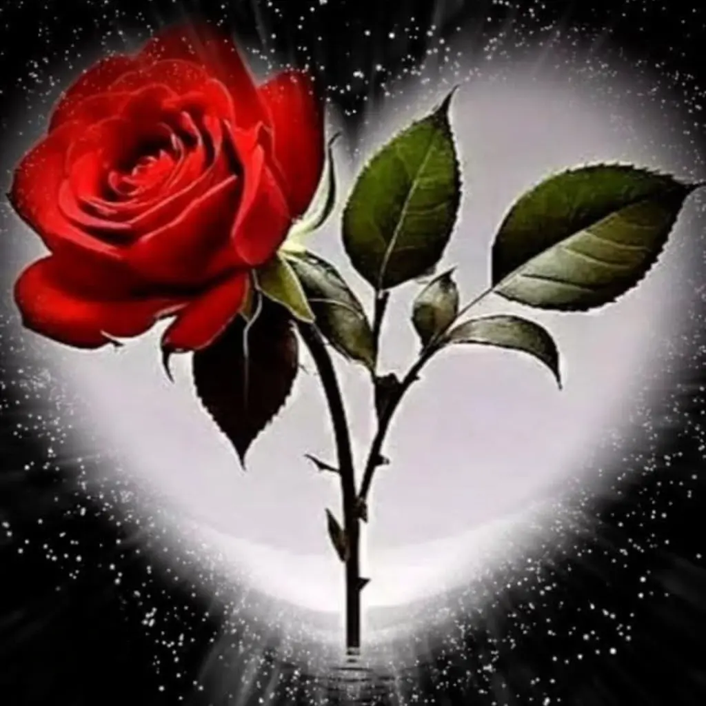 Condolence image of ⭐️Dobranoc nasz najdroższy Jackusiu♥️ 