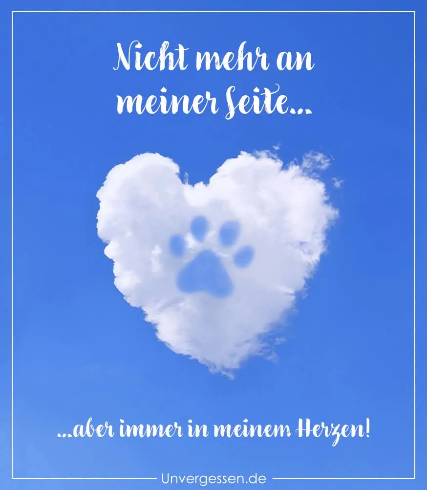 Condolence image of Helmut