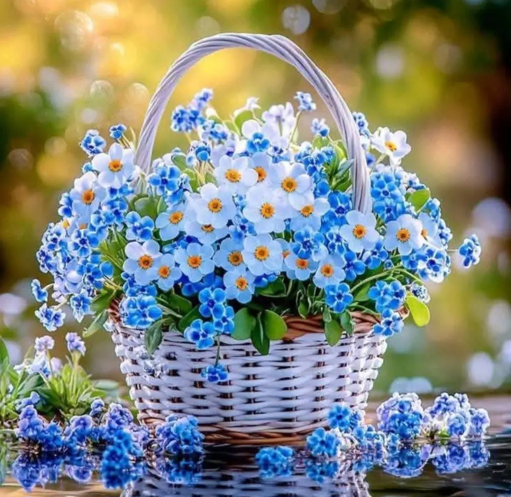 Condolence image of Ewa & Krzysztof 