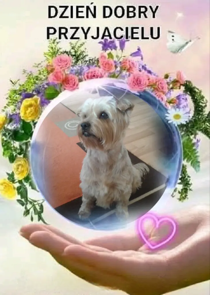 Condolence image of Ewa & Krzysztof 