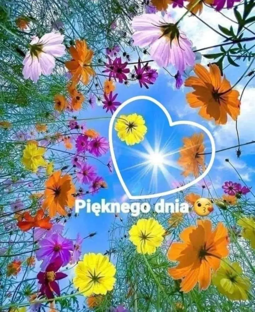 Condolence image of Ewa & Krzysztof 