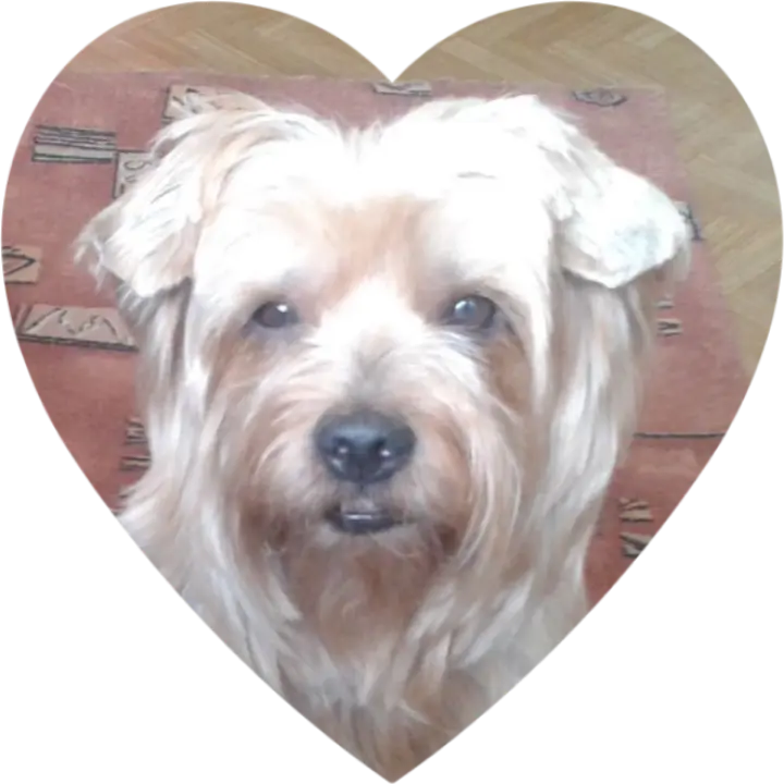 Condolence image of Ewa & Krzysztof 