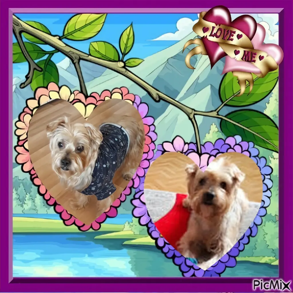 Condolence image of 140.Tygodni........Bez Ciebie❤️⭐️Ukochany❤️❤️❤️❤️❤️❤️❤️❤️❤️❤️❤️Jackusiu❤️⭐️