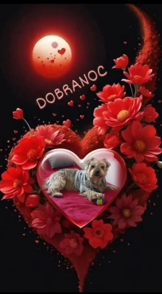 Condolence image of ⭐️Dobranoc nasz najdroższy Jackusiu♥️ 