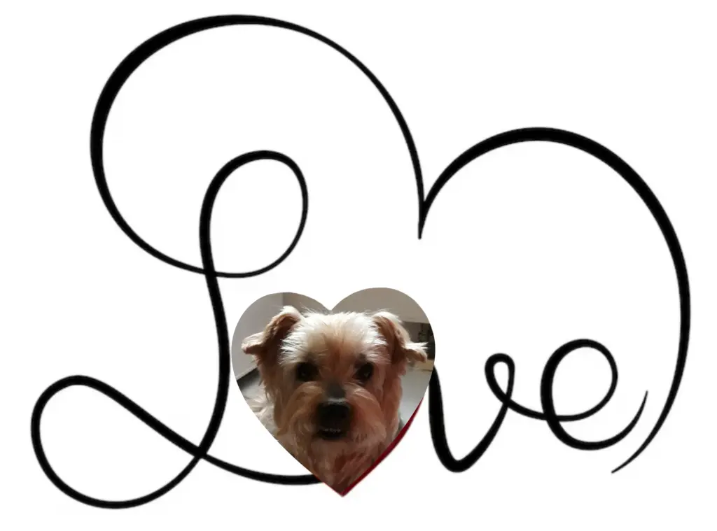 Condolence image of Ewa & Krzysztof