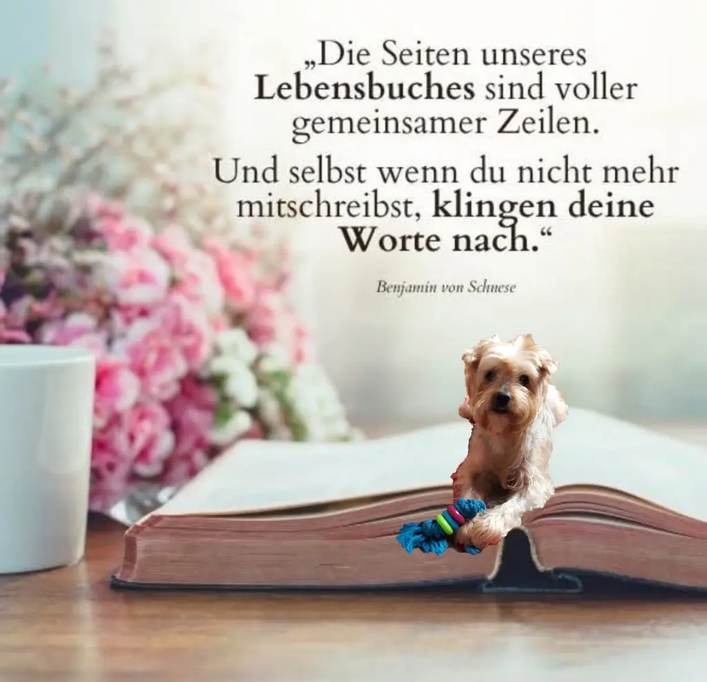 Condolence image of ⭐️Dobranoc nasz najdroższy Jackusiu♥️ 