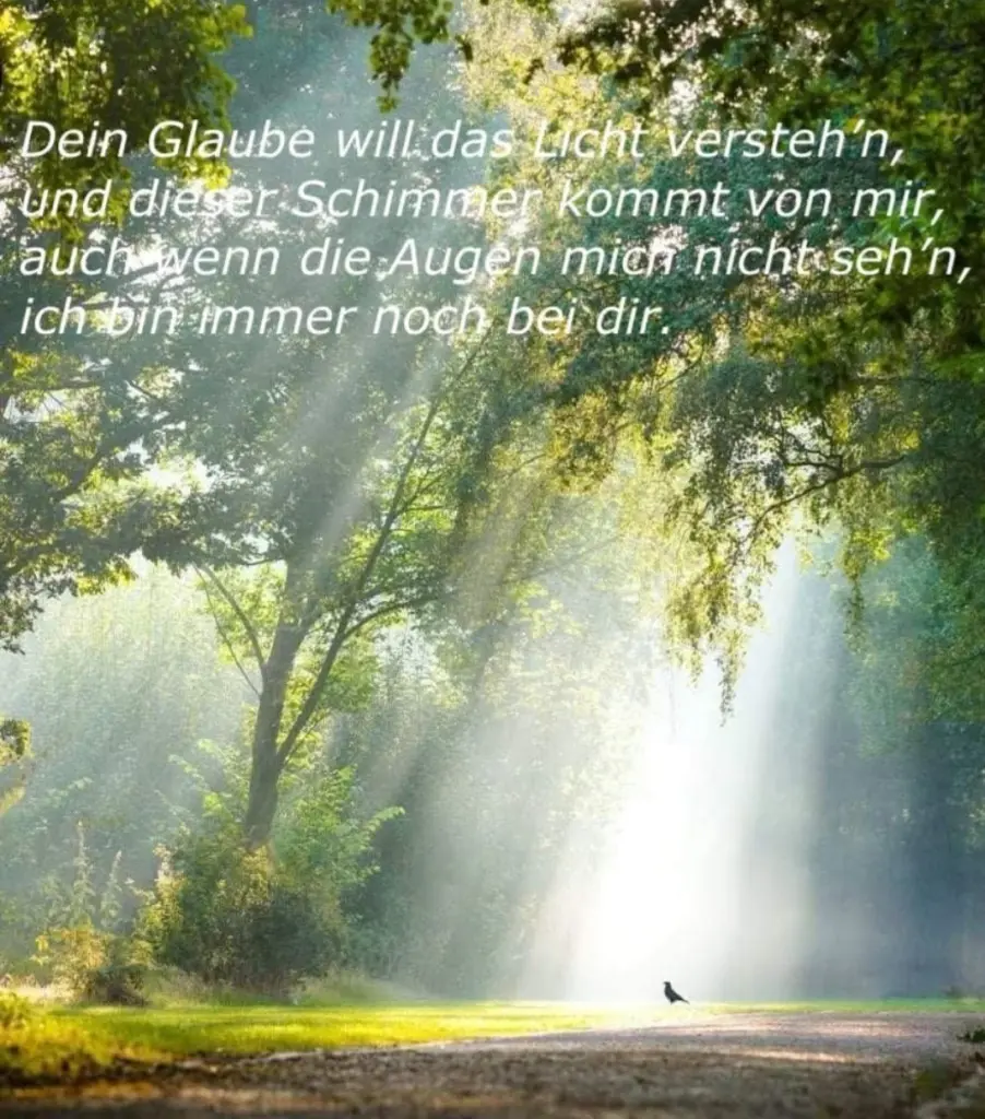 Condolence image of Ewa & Krzysztof