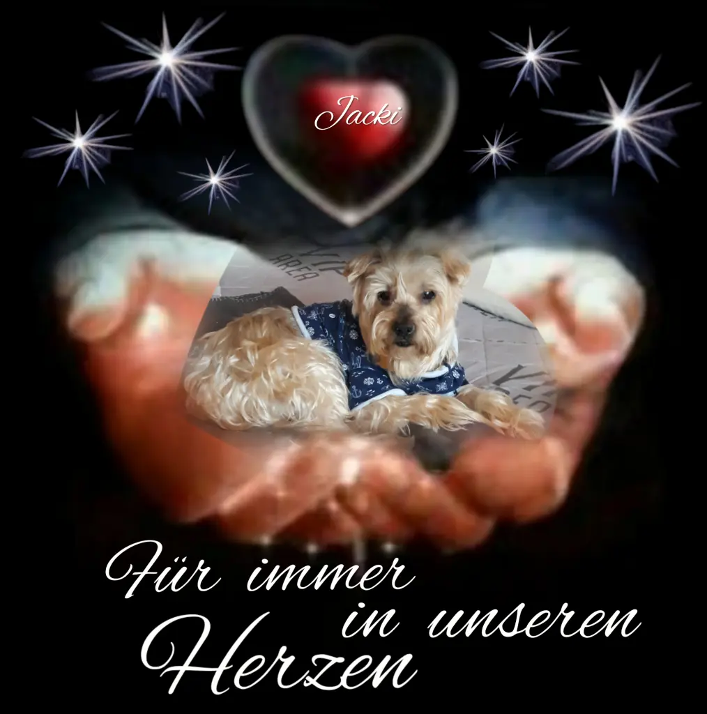 Condolence image of ⭐️Dobranoc nasz najdroższy Jackusiu♥️ 