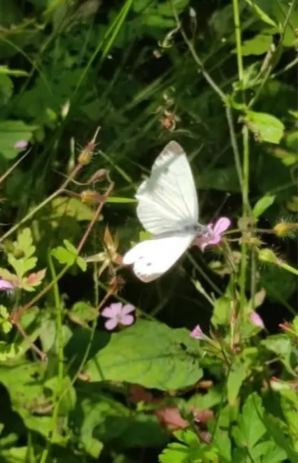 Condolence image of Ewa & Krzysztof
