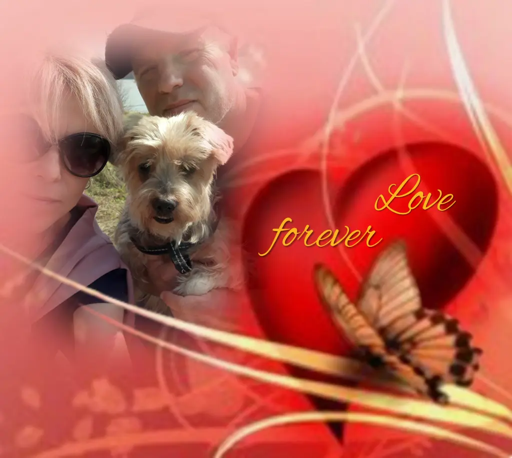 Condolence image of Sonntag,144 Wochen ohne Dich♥️ unser allerliebster Jackuś♥️