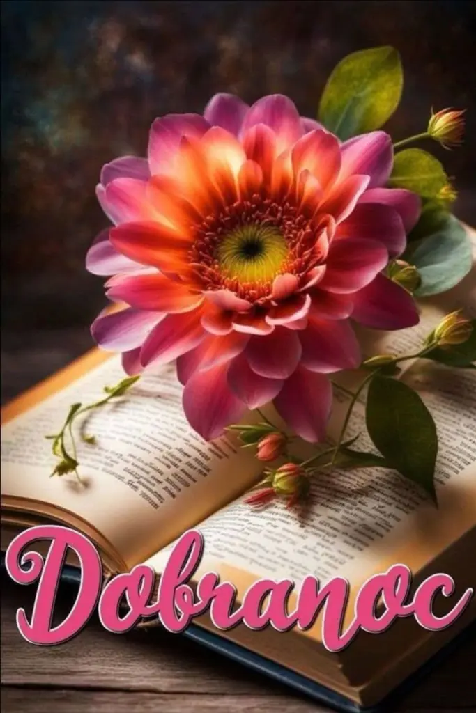 Condolence image of ⭐️Dobranoc nasz najdroższy Jackusiu♥️ 