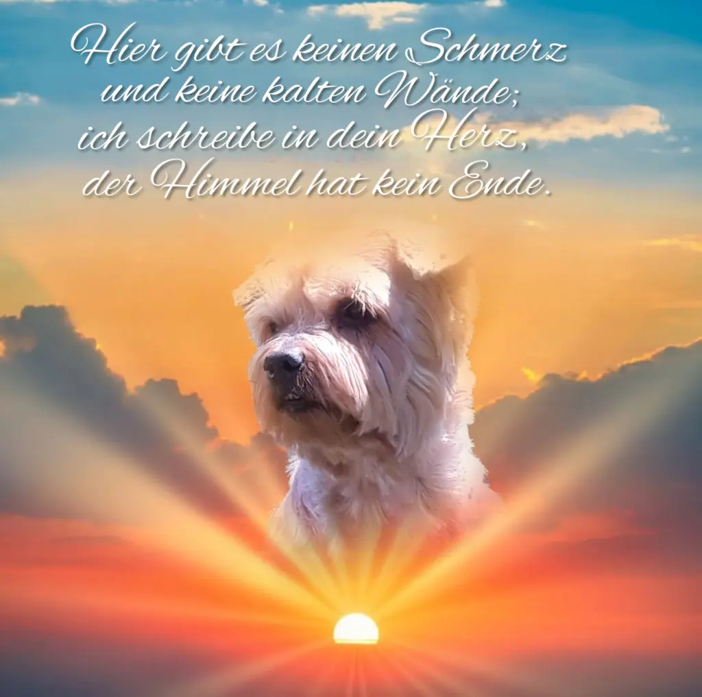 Condolence image of ⭐️Dobranoc nasz najdroższy Jackusiu♥️