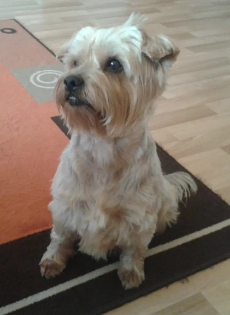 Condolence image of Ewa & Krzysztof 