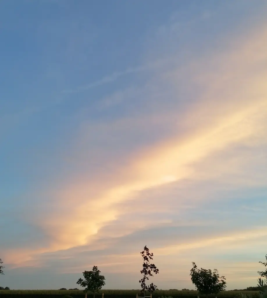 Condolence image of In liebevollem Gedenken♡ 