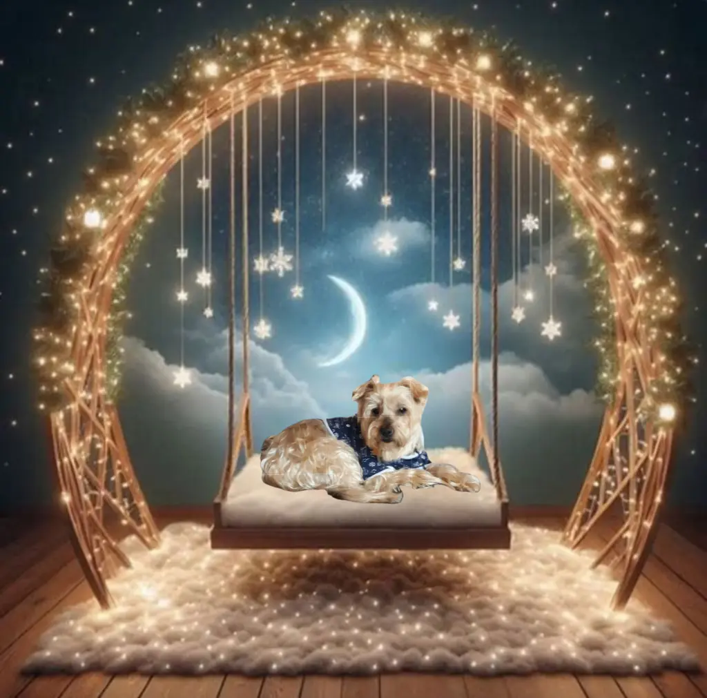 Condolence image of ⭐️Dobranoc nasz najdroższy Jackusiu♥️ 