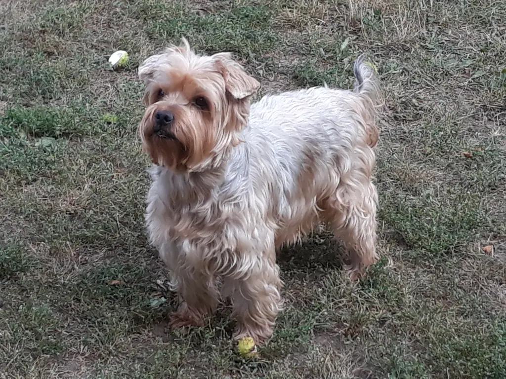 Condolence image of Ewa & Krzysztof