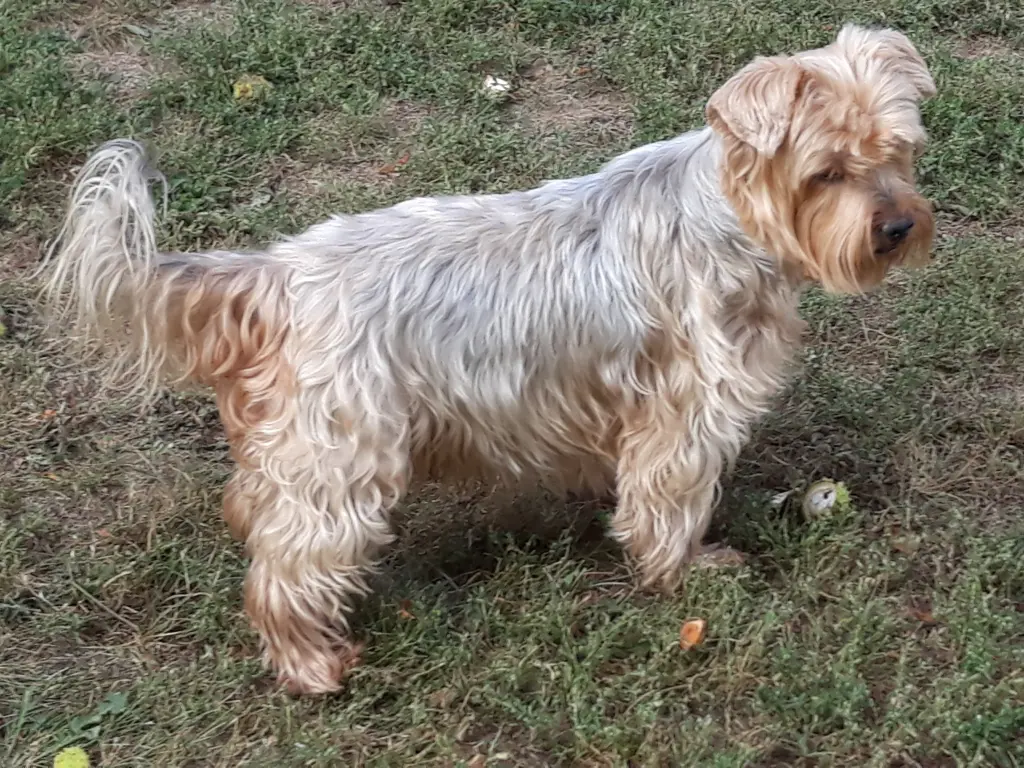 Condolence image of Ewa & Krzysztof