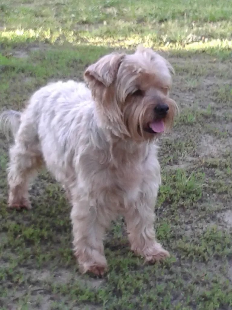 Condolence image of Krzysztof