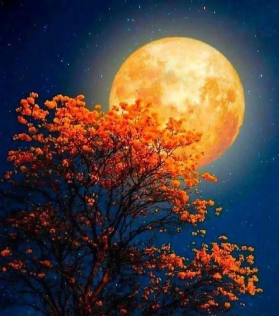 Condolence image of Dobranoc nasz najdroższy Jackusiu♥️