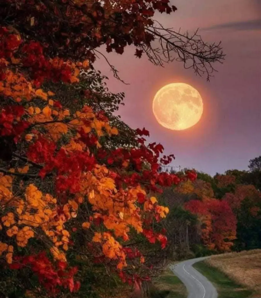 Condolence image of Dobranoc nasz najdroższy Jackusiu♥️