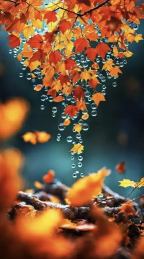 Condolence image of Wenke mit Lilli im❤️