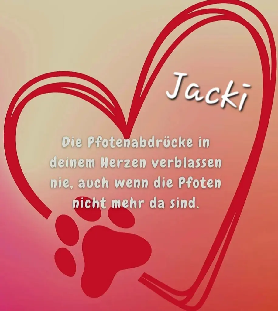 Condolence image of ♥️ Jacki ♥️ für immer im Herzen ❤️