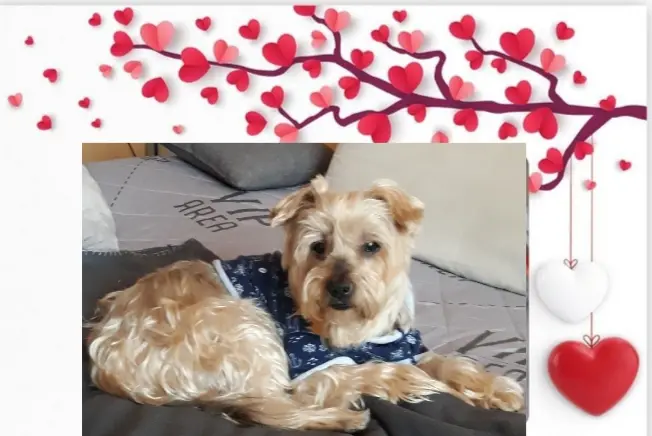 Condolence image of Ewa & Krzysztof