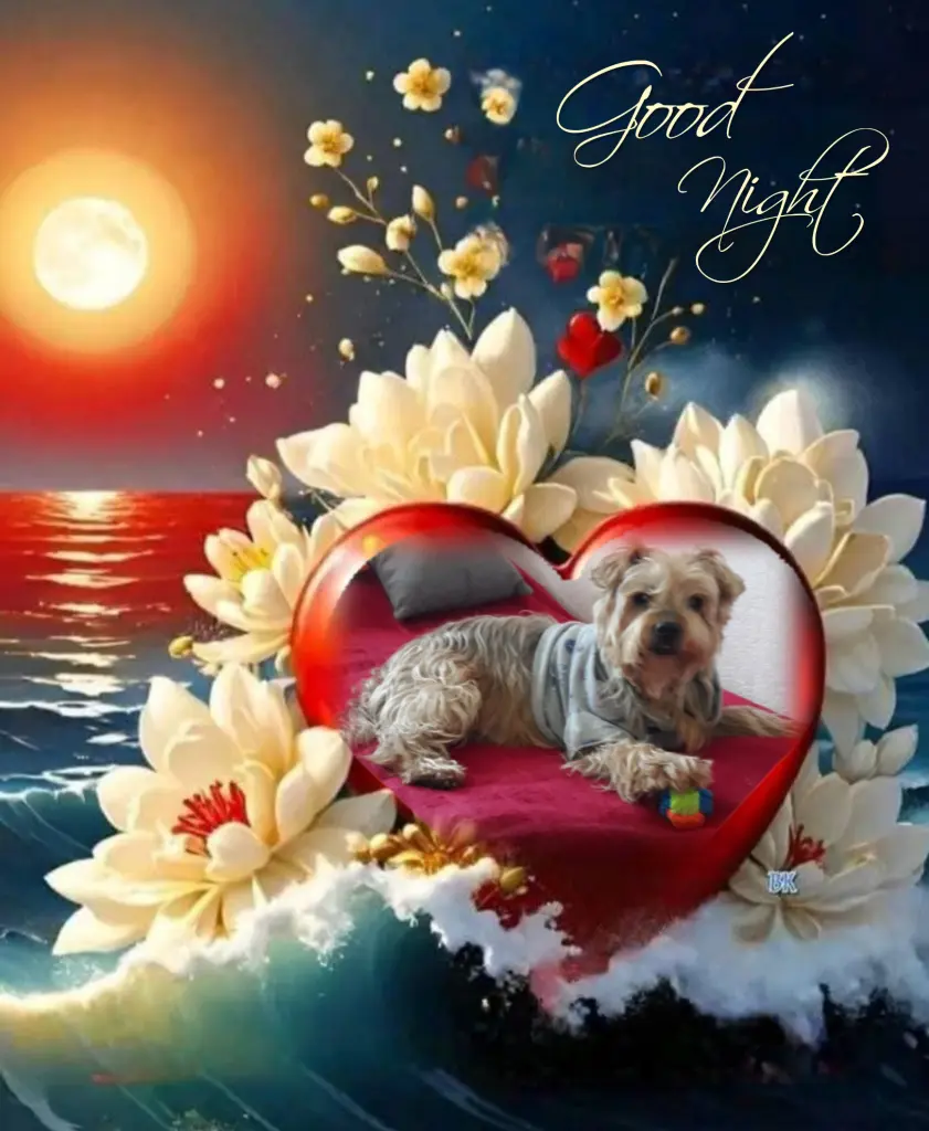 Condolence image of Dobranoc nasz najdroższy Jackusiu♥️