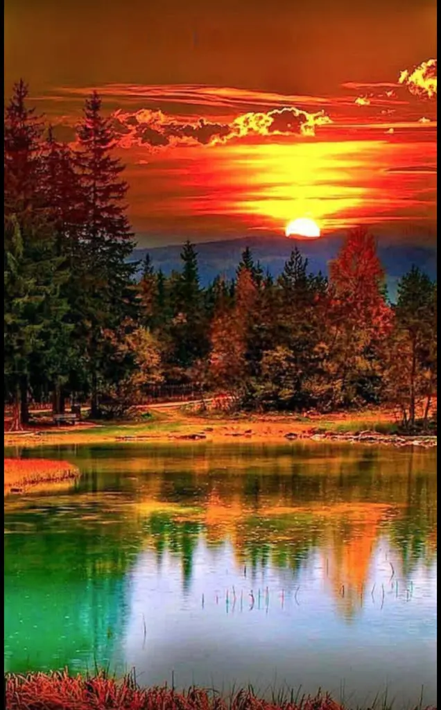 Condolence image of Dobranoc nasz najdroższy Jackusiu♥️