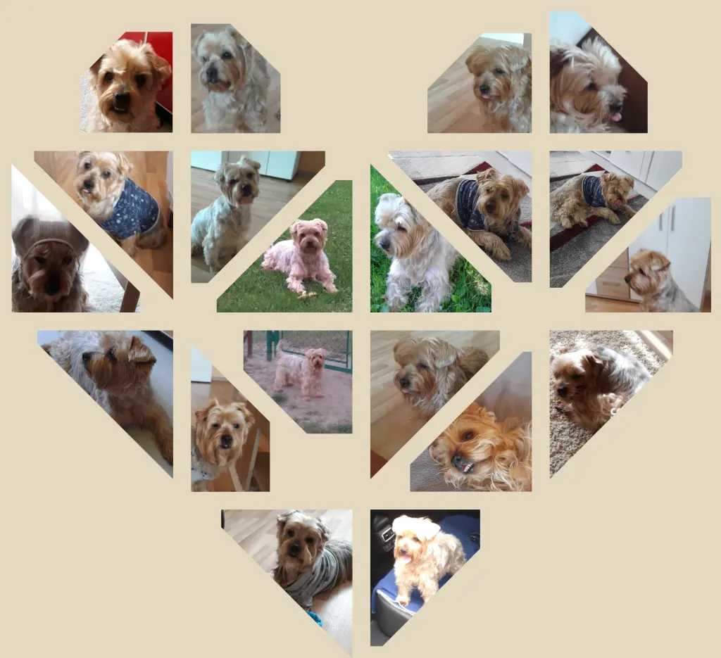 Condolence image of Ewa & Krzysztof