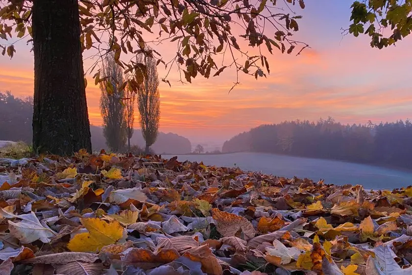 Condolence image of Iris mit Eliot und Linus im Herzen