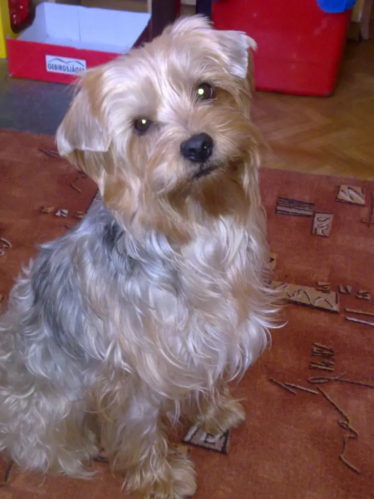 Condolence image of Krzysztof i Ewa