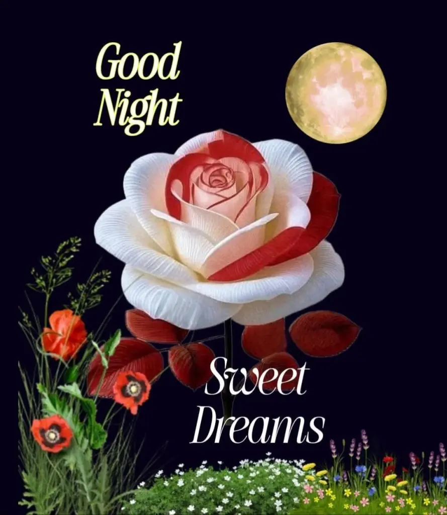 Condolence image of Dobranoc nasz najdroższy Jackusiu♥️