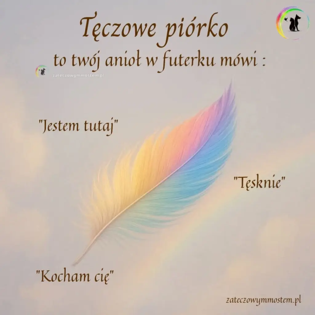 Condolence image of Dobranoc nasz najdroższy Jackusiu♥️