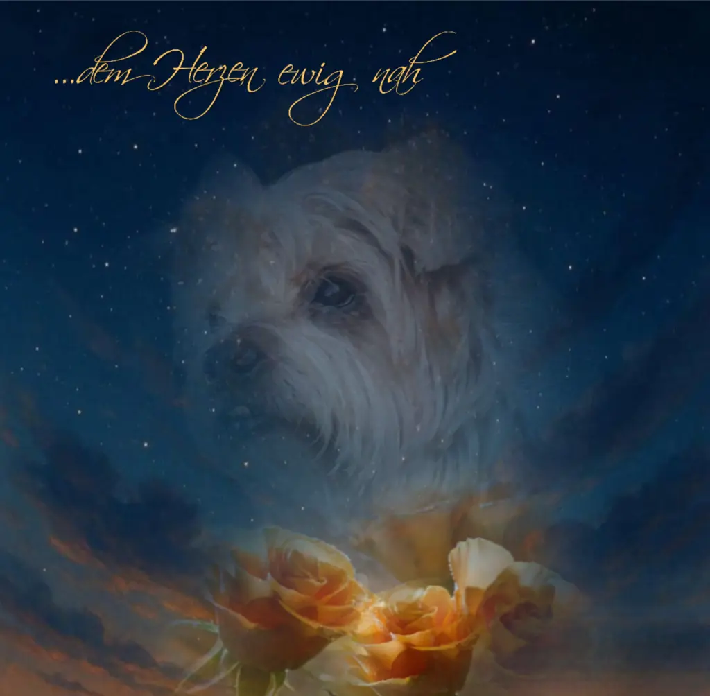 Condolence image of Jackuś♥️ für immer in unseren Herzen❤️